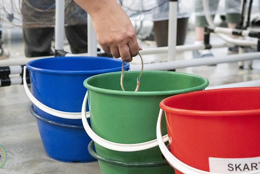 Tisza Automotive: koraci ka zelenijoj budućnosti