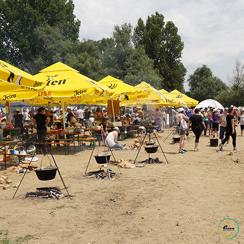 Vrhunska atmosfera na našem pikniku na obali Tise